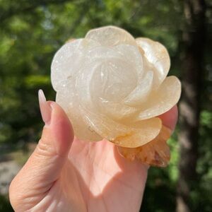 Golden healer (1) rose flower craving | Crystal